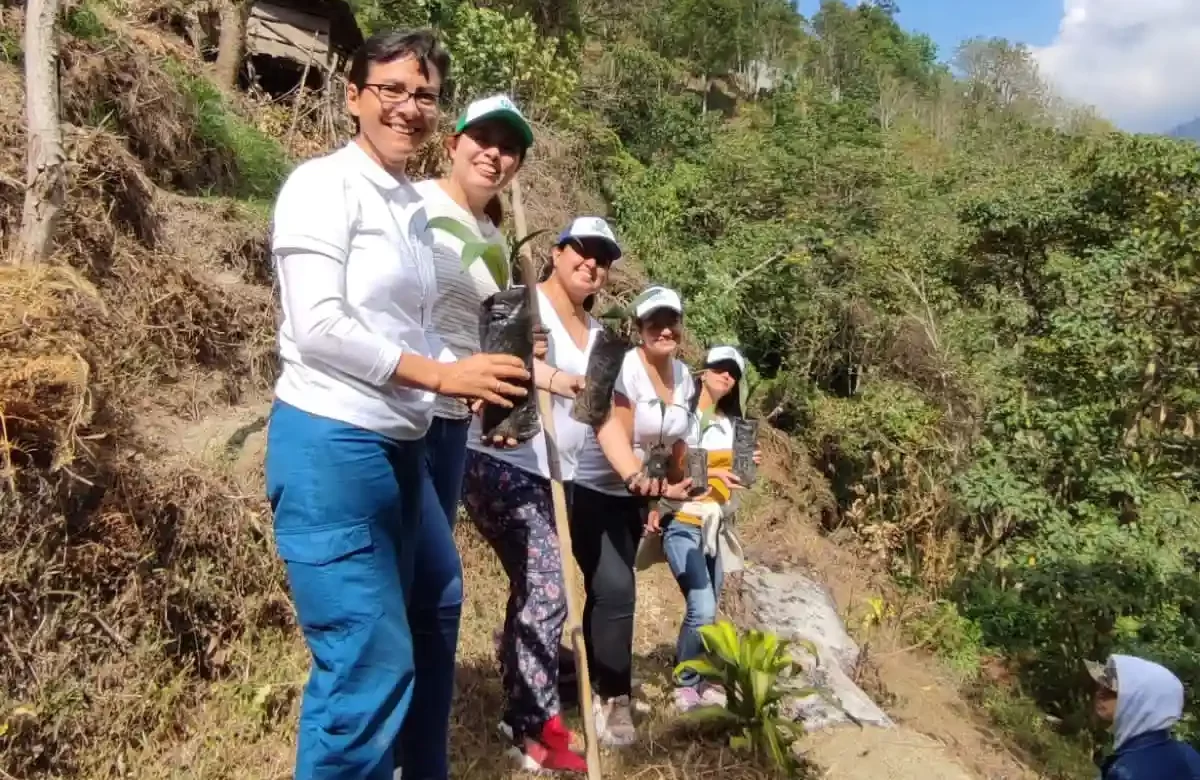 Movimiento Laudato si plantando palmas de cera